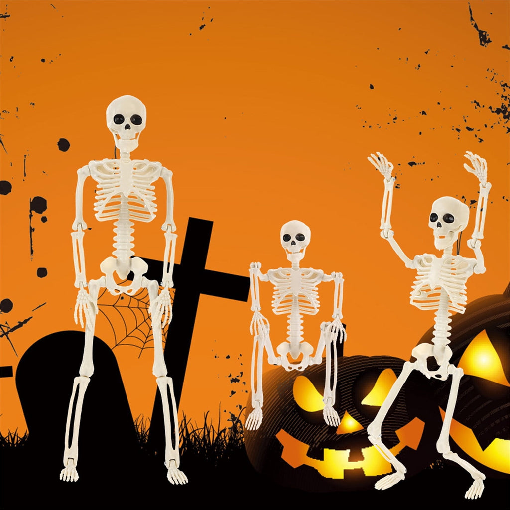 Halloween Spooky Skeleton 5.4ft Realistic Skeleton with Posable and Movable Joints Halloween Mood Enhancer, Decor for Halloween Outdoor/Indoor Decoration