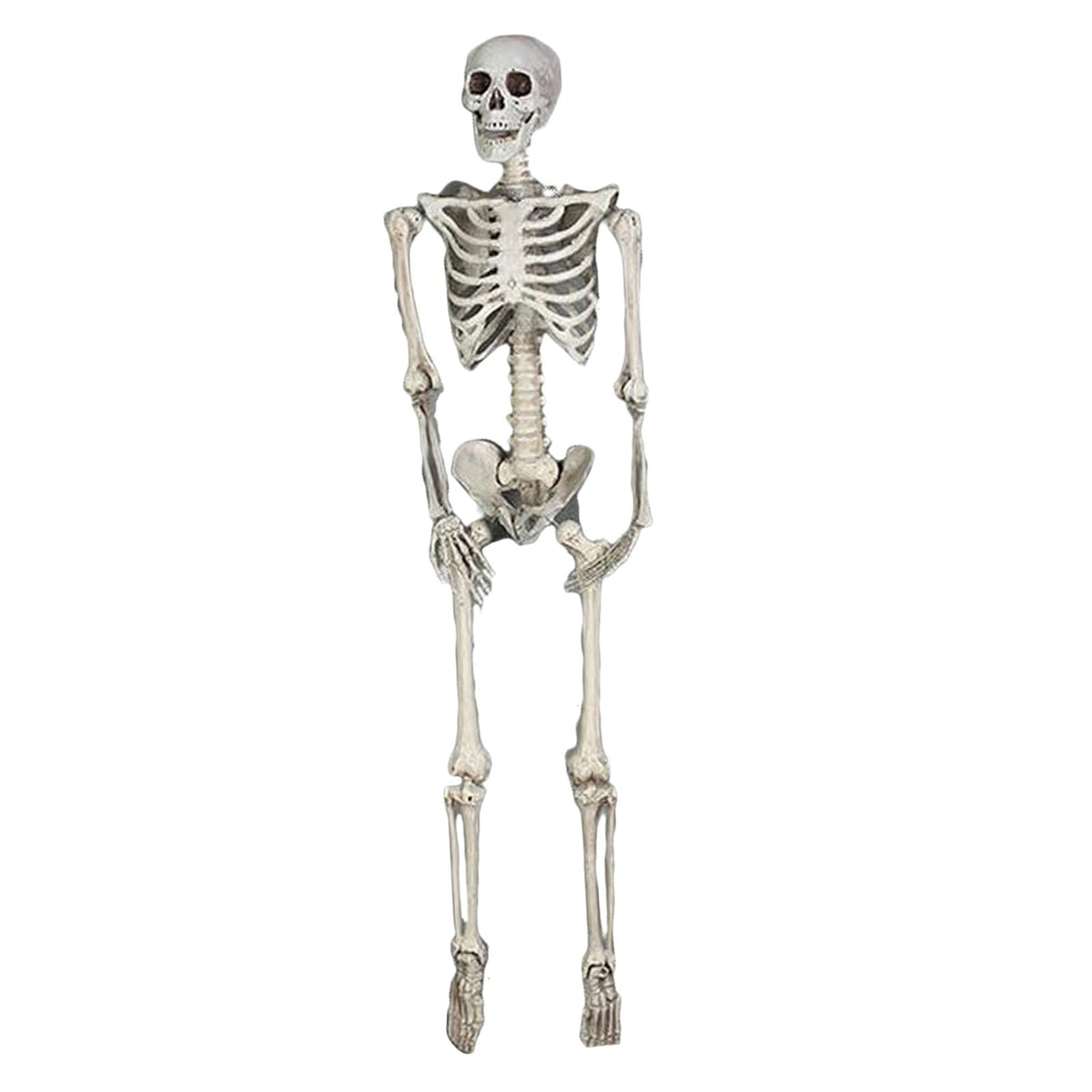 FVDPWYE Skull Halloween Skeleton Full Body Realistic Decorations Faux Human Skeleton for