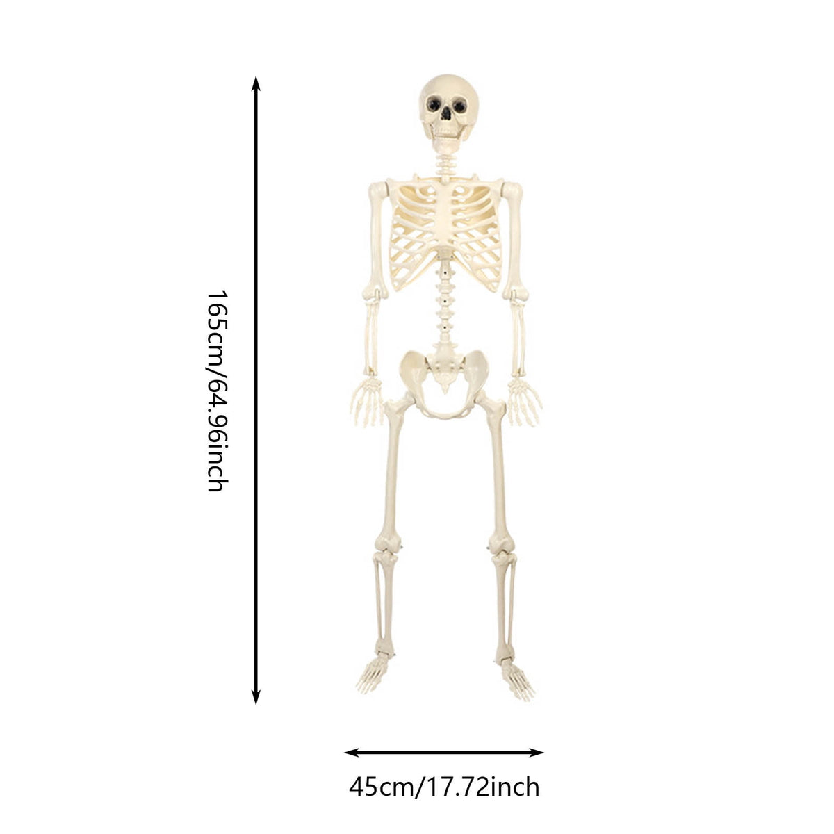 Halloween Spooky Skeleton 5.4ft Realistic Skeleton with Posable and Movable Joints Halloween Mood Enhancer, Decor for Halloween Outdoor/Indoor Decoration