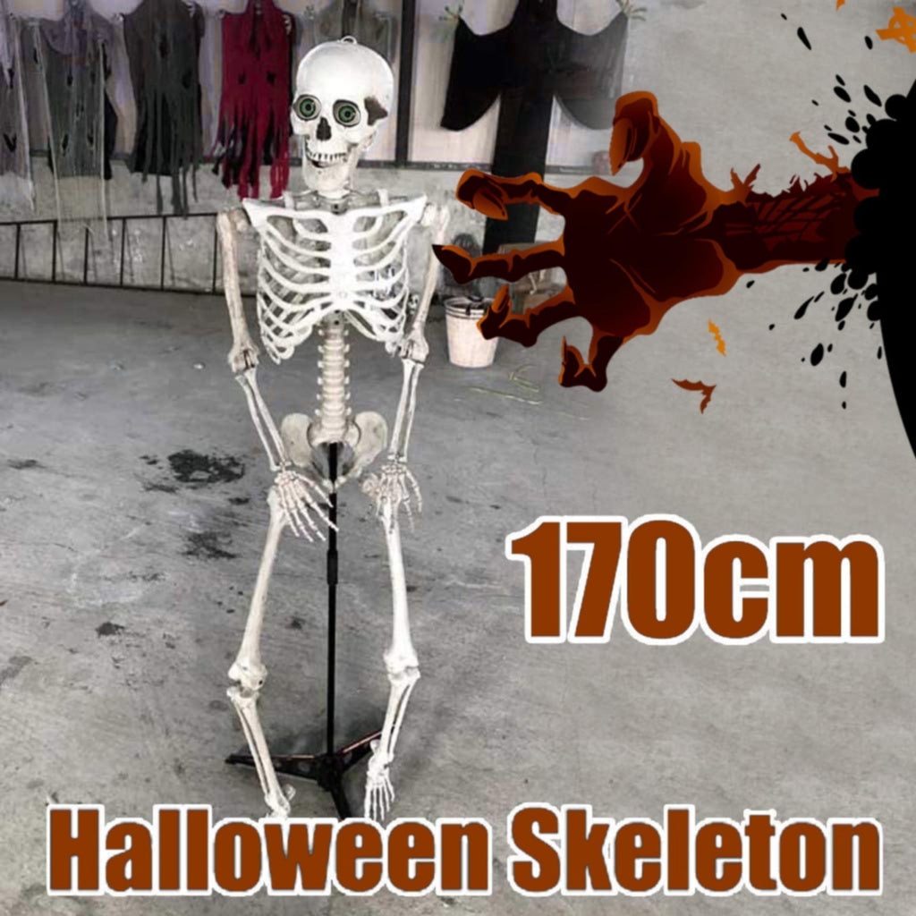 Full-Body Posable Skeleton Decor - Life-Size Human Skeleton with Flexible Joints for Halloween Yard Displays, Haunted Houses & Spooky Party Props