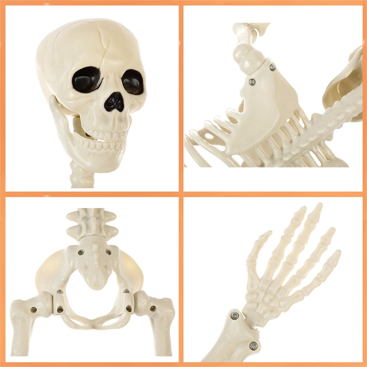 Halloween Spooky Skeleton 5.4ft Realistic Skeleton with Posable and Movable Joints Halloween Mood Enhancer, Decor for Halloween Outdoor/Indoor Decoration