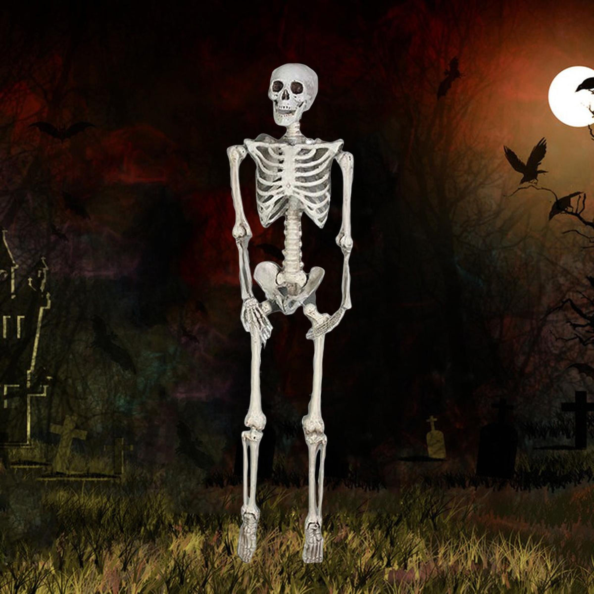 FVDPWYE Skull Halloween Skeleton Full Body Realistic Decorations Faux Human Skeleton for