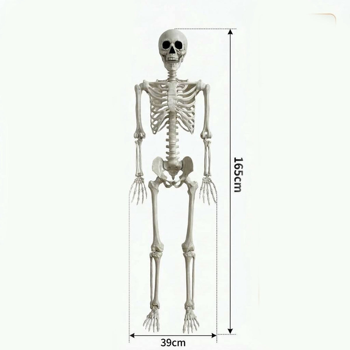 Halloween Simulation Skeleton Decoration, Realistic Skeleton Prop, Party House Yard Indoor Outdoor
