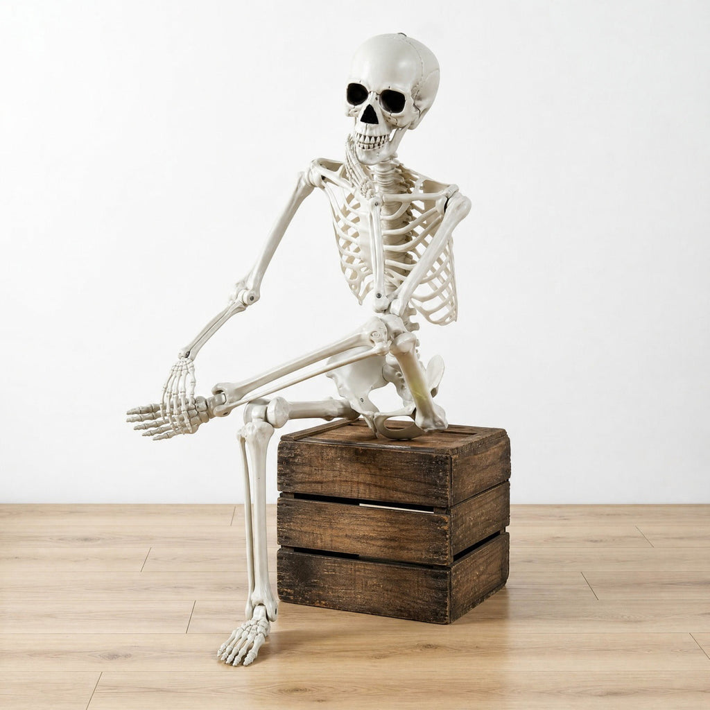 Halloween 165*39Cm Realistic Simulation Posable Skeleton Decoration 1Pc- Realistic Human Skull Model With Flexible Joints For Halloween Party And House Props