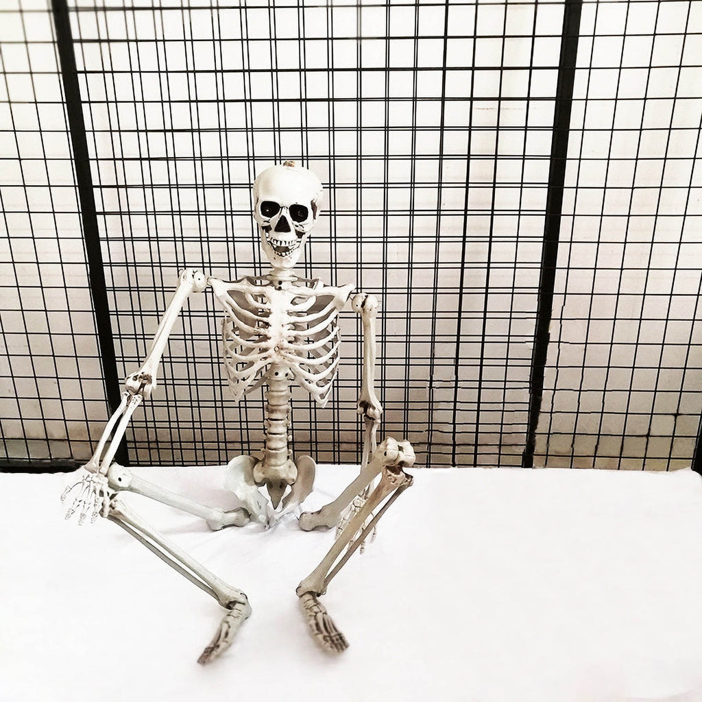Hwkond Halloween Skeletons Life Size 165cm Halloween Skeleton Prop Human Full Size Skull Hand Life Body Anatomy Model Decor