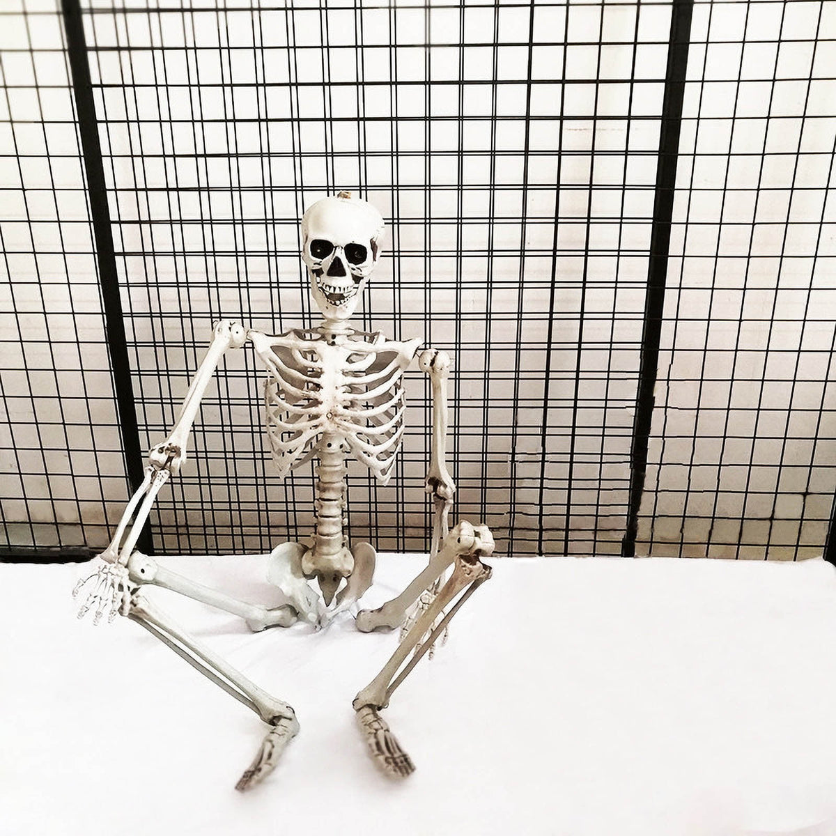 Hwkond Halloween Skeletons Life Size 165cm Halloween Skeleton Prop Human Full Size Skull Hand Life Body Anatomy Model Decor