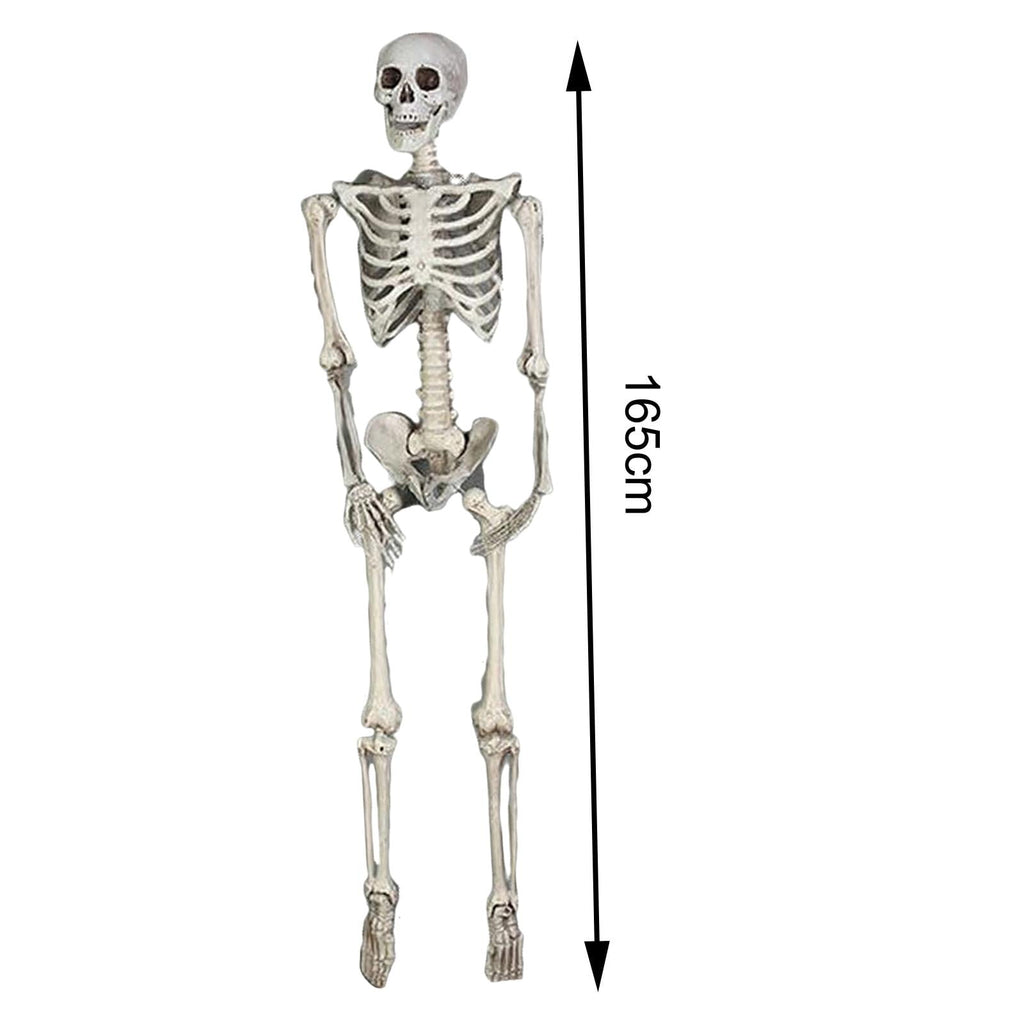 FVDPWYE Skull Halloween Skeleton Full Body Realistic Decorations Faux Human Skeleton for